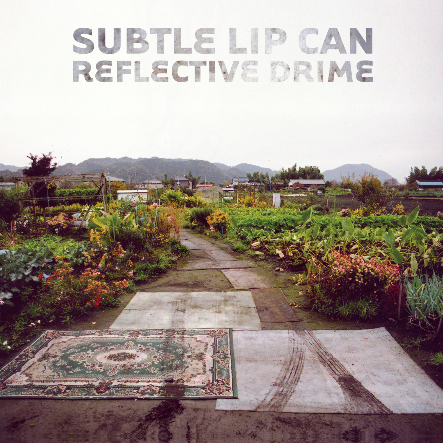 Subtle Lip Can: Reflective Drime (Drip Audio)