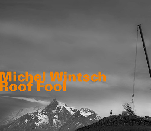 Wintsch, Michel : Roof Fool (Hatology)