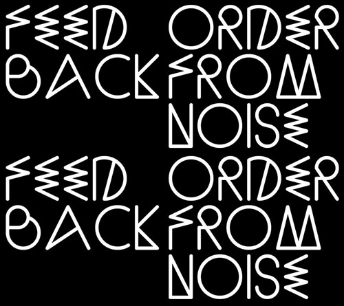 Feedback: Order From Noise [2 CDs & a DVD] (Mikroton Recordings)