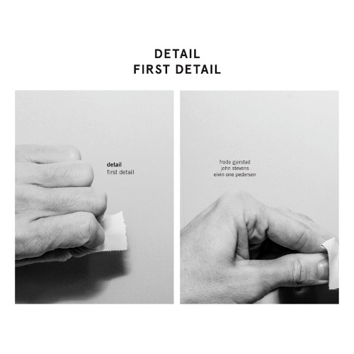 Detail: Stevens / Pedersen / Gjerstad: First Detail [VINYL + CD] (Rune Grammofon)