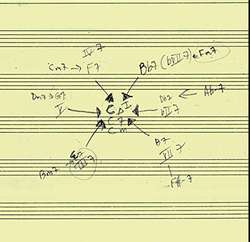 Schott, John: John Schott's Actual Trio (Tzadik)