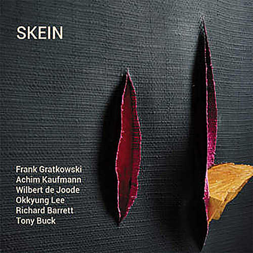 Skein (Gratkowski / Kaufmann / de Joode / Lee / Barrett / Buck): Skein (Leo Records)