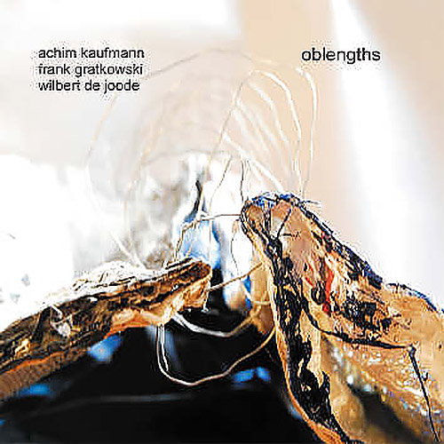 Kaufmann, Achim / Frank Gratkowski /Wilbert de Joode: Oblengths (Leo Records)