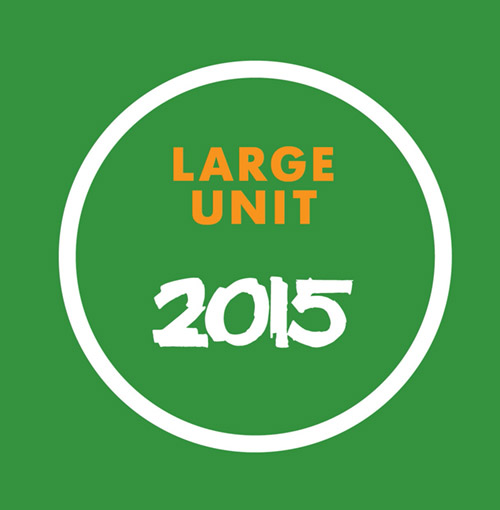 Large Unit: 2015 [BOOK + 2 CDS] (PNL)
