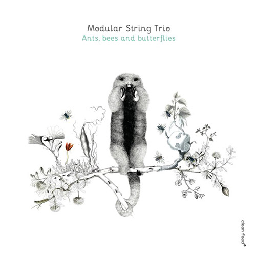 Modular String Trio (Okhrimchuk / Jedrzejewski / Kacperczyk): Ants Bees and Butterflies (Clean Feed)
