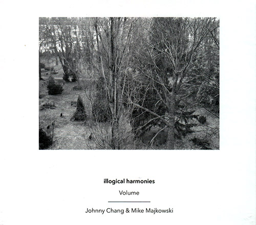 Illogical Harmonies (Chang / Majkowski): Volume (Another Timbre)