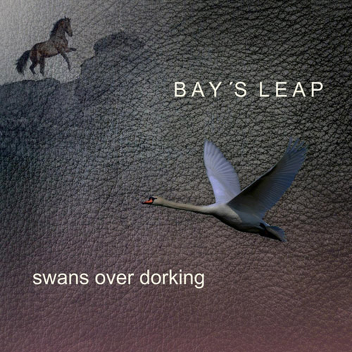 Bay's Leap: Swans Over Dorking (Citystream)