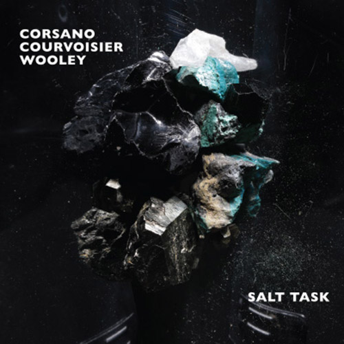 Corsano / Courviosier / Wooley: Salt Task (Relative Pitch)