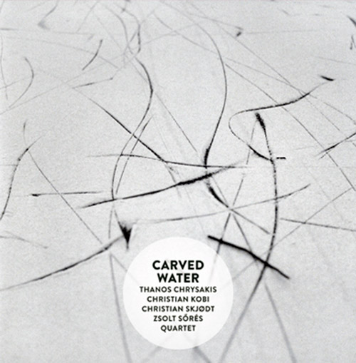 Chrysakis, Thanos / Christian Kobi / Christian Skjodt / Zsolt Sores : Carved Water (Aural Terrains)