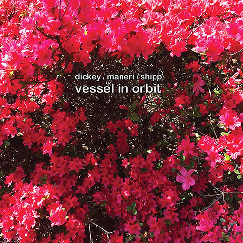 Dickey, Whit / Mat Maneri / Matthew Shipp: Vessel In Orbit (Aum Fidelity)