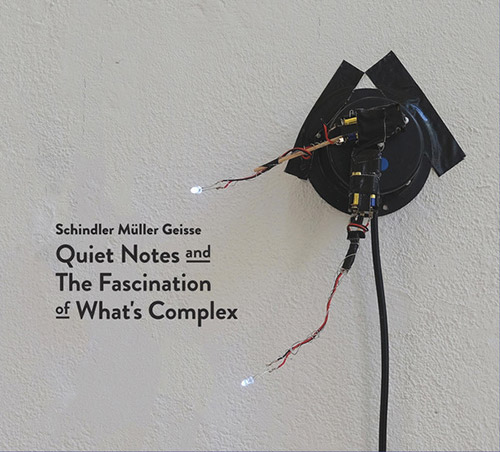 Schindler / Muller / Geisse: Quiet Notes and The Fascination of What's Complex [2 CDs] (Creative Sources)