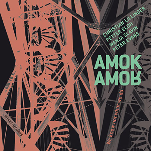 Amok Amor (Liilinger / Eldh / Slavin / Evans): We Know Not What We Do (Intakt)