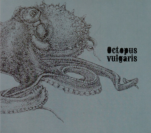 Octopus (Rodrigues / Humm / Curado / Piosik / Hencleeday / Almeida / Santos / Godinho): Vulgaris (Creative Sources)