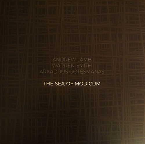 Lamb, Andrew / Warren Smith / Arkadijus Gotesmanas: The Sea of Modicum [VINYL] (NoBusiness)