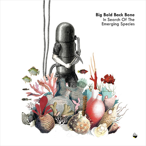 Big Bold Back Bone (von Orelli / Lopes / Travassos): In Search Of The Emerging Species [VINYL] (Shhpuma)