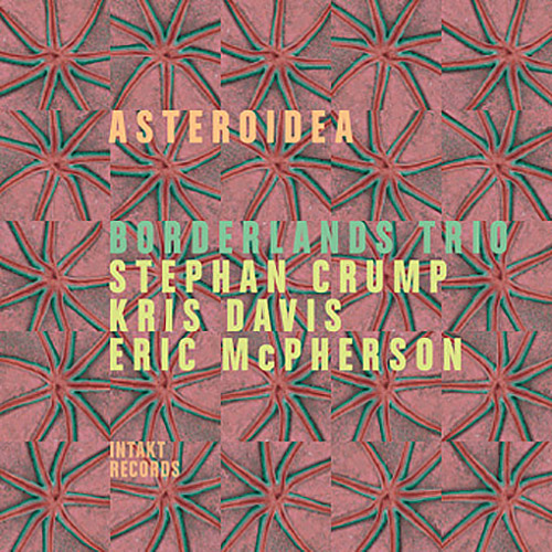 Borderlands Trio (Stephan Crump / Kris Davis / Eric McPherson): Asteroidea (Intakt)