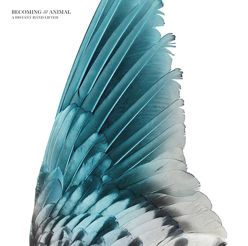 Becoming Animal (Massimo Pupillo / Gordon Sharp): A Distant Hand Lifted [VINYL] (Trost Records)