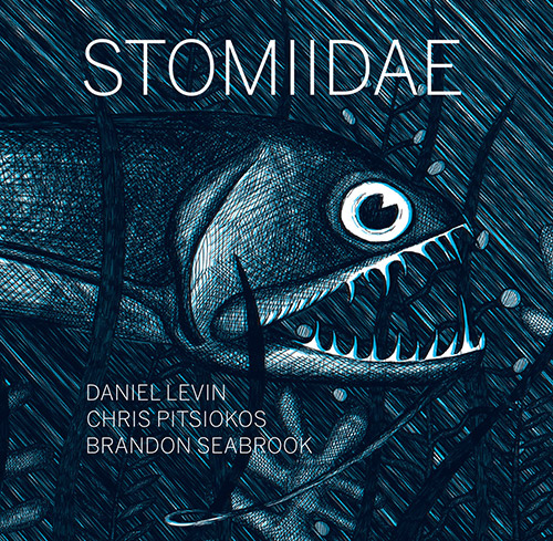 Levin, Daniel / Chris Pitsiokos / Brandon Seabrook: Stomiidae (Dark Tree Records)