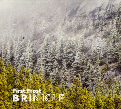 Brinicle (McCormick / Bjorgo / Antalova): First Frost (Creative Sources)