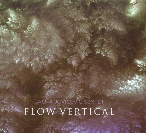 Jovicevic, Jasna Sextet: Flow Vertical (FMR)