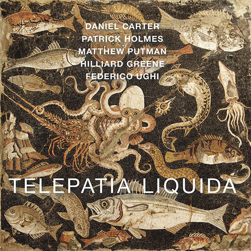 Carter, Daniel / Patrick Holmes / Matthew Putman / Hilliard Greene / Federico Ughi: Telepatia Liquid (577 Records)