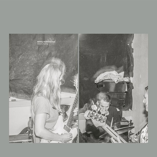 Mollestad, Hedvig Trio: Smells Funny (Rune Grammofon)