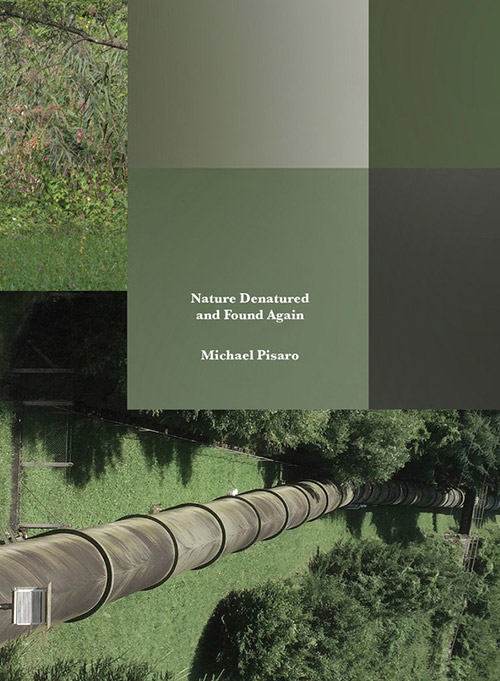 Pisaro, Michael : Nature Denatured and Found Again  [5 CD Box Set] (Gravity Wave)