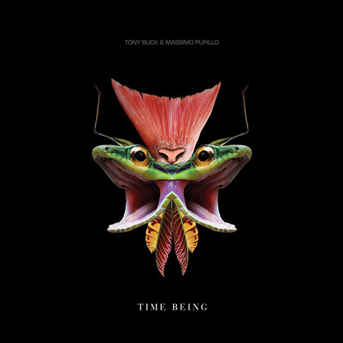 Buck, Tony / Massimo Pupillo: Time Being [VINYL] (Trost Records)