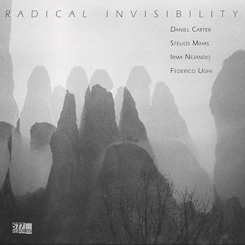 Carter, Daniel / Stelios Mihas / Irma Nejando / Federico Ughi: Radical Invisibility (577 Records)