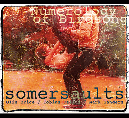 Somersaults (Olie Brice / Tobias Delius / Mark Sanders): Numerology of Birdsong (West Hill Records)