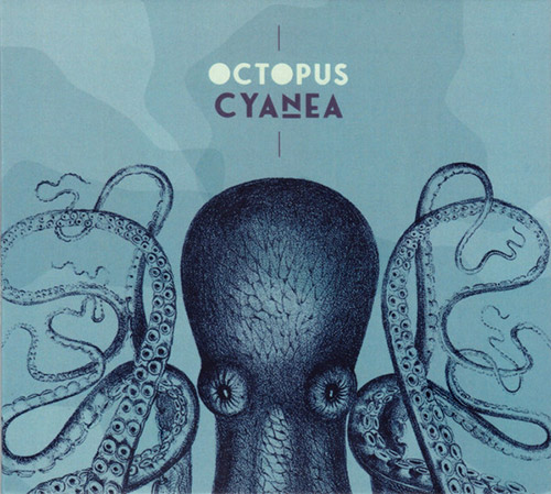 Octopus: Cyanea (Creative Sources)