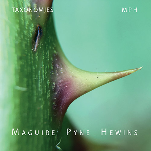 MPH (Maguire / Pynew / Hewins): Taxonomies (Discus)