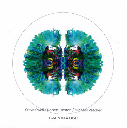 Swell, Steve / Robert Boston / Michael Vatcher: Brain In A Dish (NoBusiness)