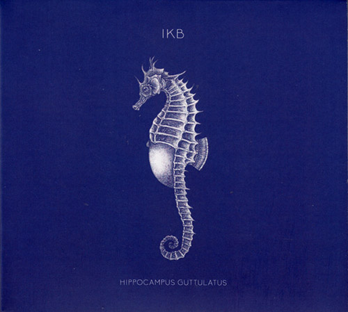 IKB: Hippocampus Guttulatus (Creative Sources)