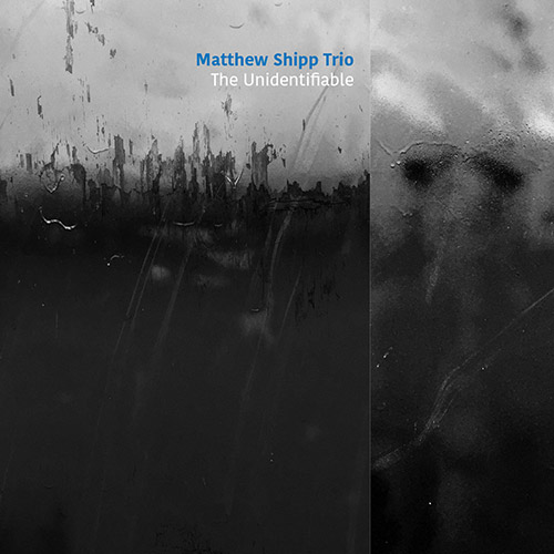 Shipp Trio, Matthew: The Unidentifiable (ESP-Disk)