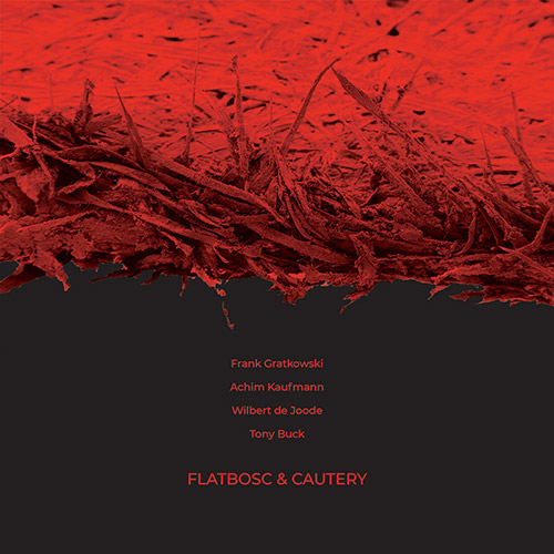 Gratkowski, Frank / Achim Kaufmann / Wilbert de Joode / Tony Buck: Flatbosc & Cautery (NoBusiness)