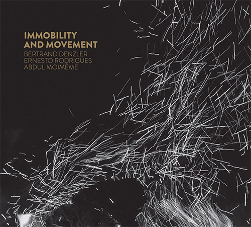 Denzler / Rodrigues / Moimeme: Immobility and Movement (Creative Sources)