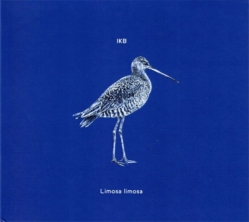 IKB: Limosa Limosa (Creative Sources)