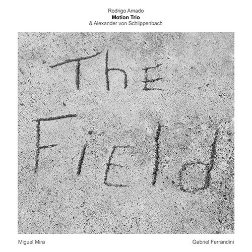 Amado, Rodrigo Motion Trio / Alexander von Schlippenbach: The Field (NoBusiness)