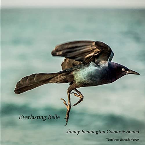 Bennington, James Colour And Sound: Everlasting Belle (ThatSwan!)