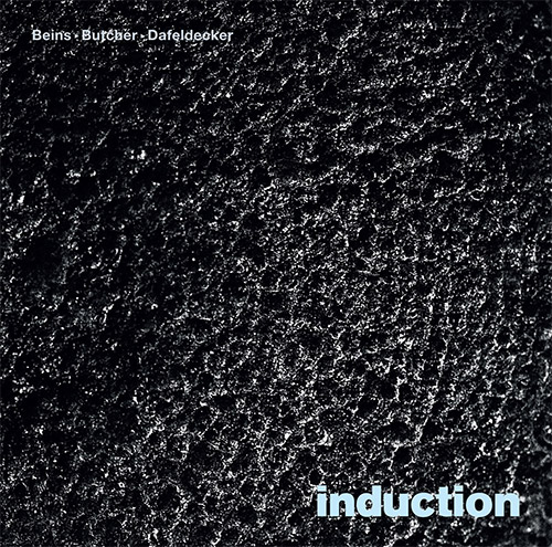 Beins, Burkhard / John Butcher / Werner Dafeldecker: induction [VINYL] (NI-VU-NI-CONNU)