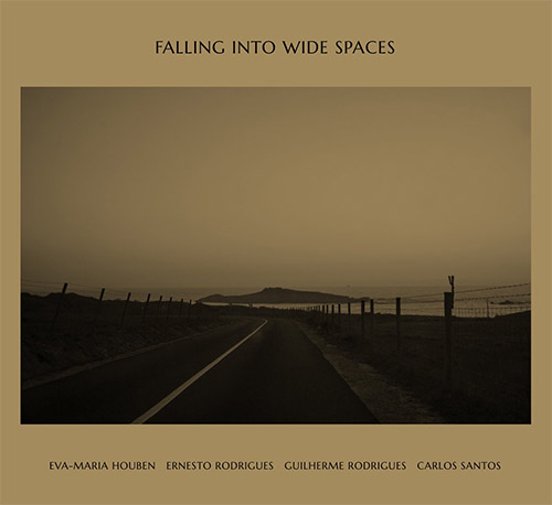 Houben / Rodrigues / Rodrigues / Santos: Falling into wide spaces (Creative Sources)