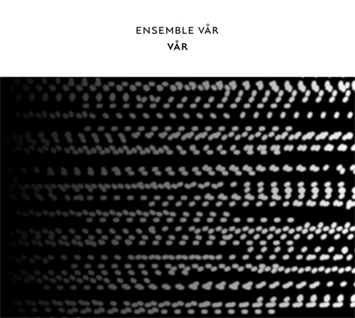 Ensemble Var (Gustafsson / Lindal / Lindstrom / Nordwall): VAR (Confront)