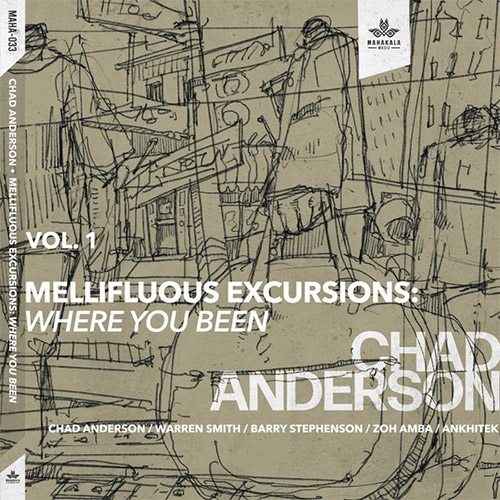 Anderson, Chad (Anderson / Smith / Stephenson / Amba / Ankhitek): Mellifluous Excursions Vol. 1 - Wh (Mahakala Music)