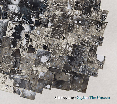 Lehman, Steve / Selebeyone: Xaybu: The Unseen (Pi Recordings)