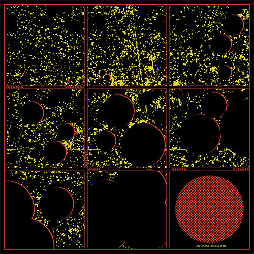 Seabrook / Cleaver / Cooper-Moore: In The Swarm [VINYL] (Astral Spirits)