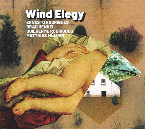 Rodrigues, Ernesto / Brad Henkel / Guilherme, Rodrigues / Matthias Muller : Wing Elegy (Creative Sources)