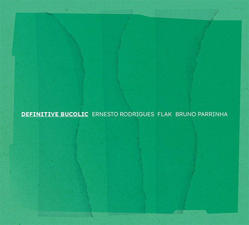 Rodrigues, Ernesto / Flak / Bruno Parrinha: Definitive Bucolic (Creative Sources)