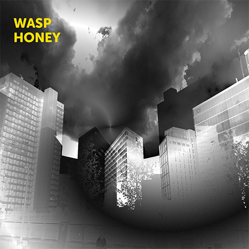 Archer, Martin (w/ John Jasnoch / Sarah Farmer / Lee Boyd Allatson): Wasp Honey (Discus)