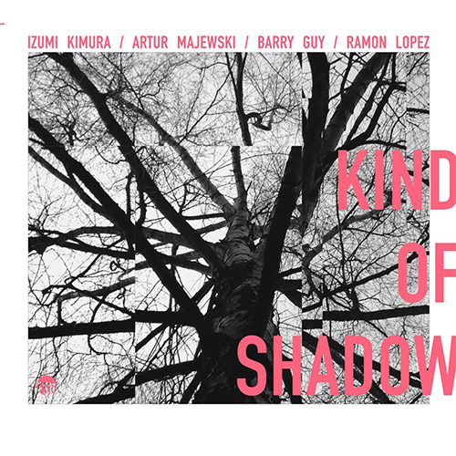 Kimura, Izumi / Artur Majewski / Barry Guy / Ramon Lopez: Kind Of Shadow (Listen! Foundation (Fundacja Sluchaj!))